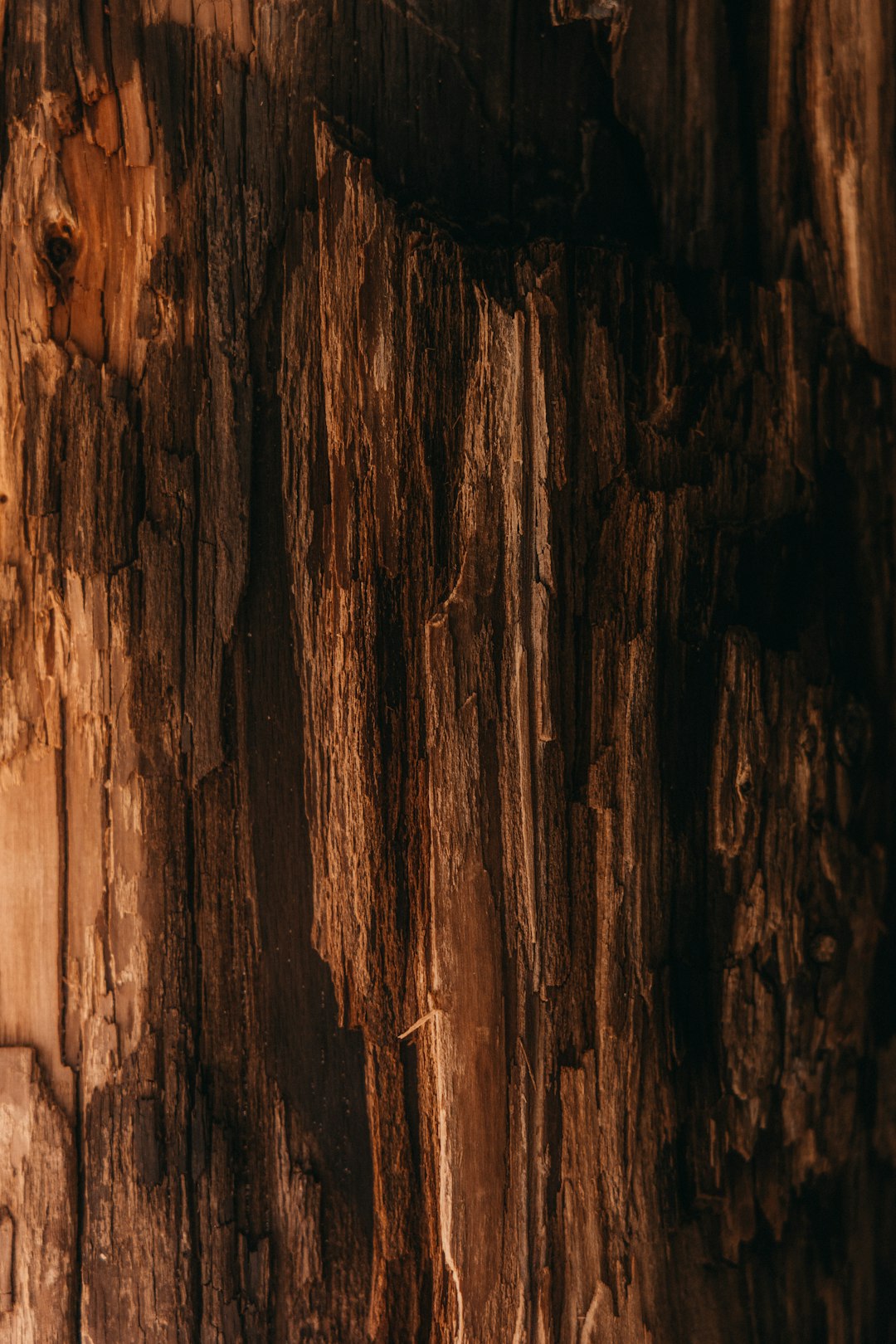 Closeup of old wood texture, warm lighting, detailed grain and natural beauty in a rustic setting, artistic photography in the style of Canon EOS R5 for intricate detail capture –ar 85:128