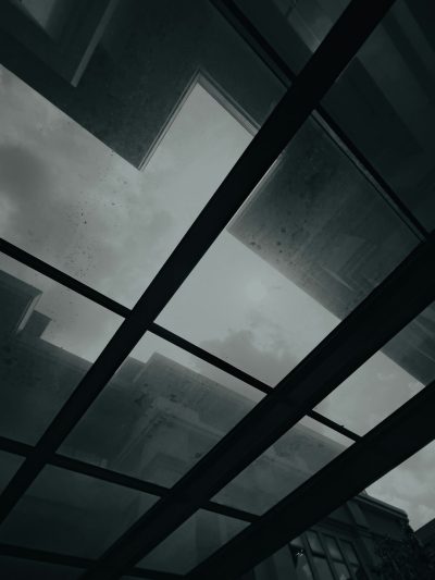 glass roof, gloomy sky, cloudy day, low angle shot, cinematic style, realism, dark tones, black and white in the style of dark tones --ar 3:4