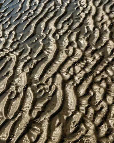 Low tide in the mud, intricate patterns of ripples and swirls on wet sand. The texture is rich with fine details that give it an almost organic feel. --ar 51:64