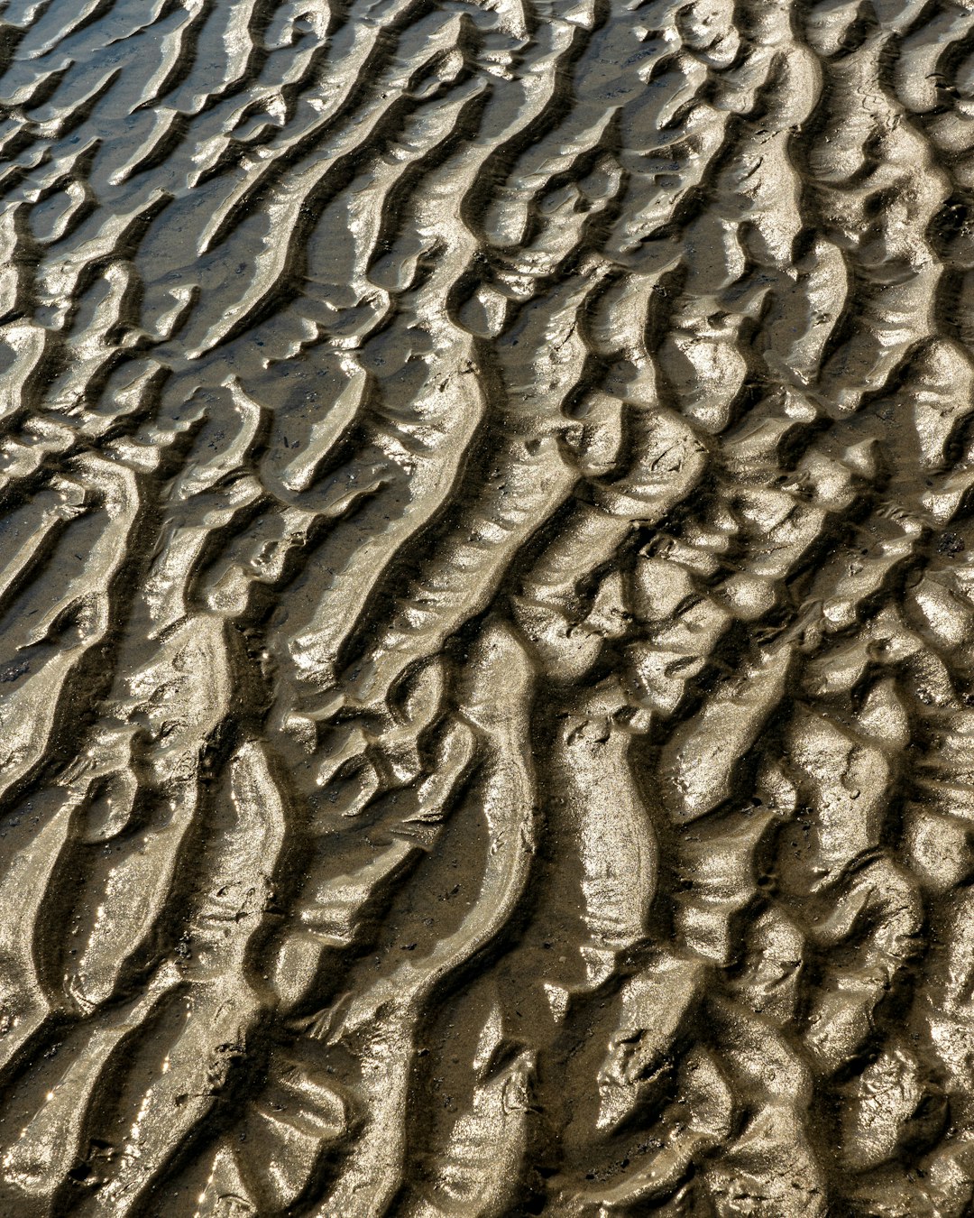 Low tide in the mud, intricate patterns of ripples and swirls on wet sand. The texture is rich with fine details that give it an almost organic feel. –ar 51:64