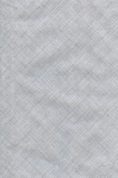 White gray linen texture background with a light grey crosshatch pattern for textile design, in the style of high resolution, no blur effect, no grainy textures, high quality, high detail, hyper realistic, hyper detailed, hyper colored --ar 21:32