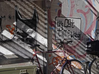 A photograph of the text "time to cat" spray painted on an urban wall, surrounded by street art graffiti and a bike frame in shadow. In the style of [Banksy](https://goo.gl/search?artist%20Banksy). --ar 4:3