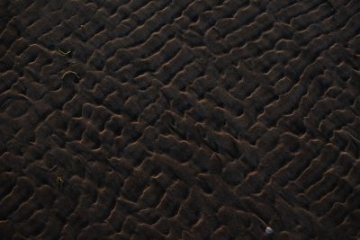 Dark brown sand ripples, top view, high resolution photograph. The sand patterns were photographed from above, showing intricate details. The ripples were styled in the manner of flowing dunes sculpted by wind and time. --ar 128:85