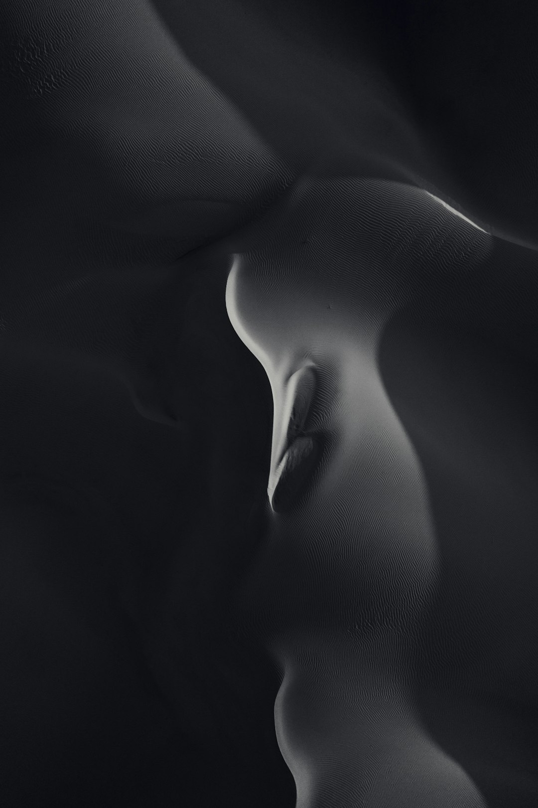 minimalist black and white photography, closeup of female form in the desert, smooth curves –ar 85:128