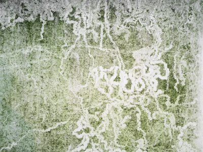 old white and green lace pattern on the wall, grunge background, texture, high resolution, hyper realistic, super detailed in the style of different artists. --ar 4:3