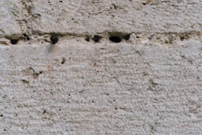 Closeup of small animal holes in the concrete wall, real photo --ar 128:85