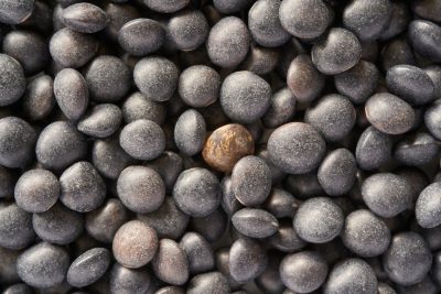 Black polygonum seeds, top view, high resolution photography, high detail, stock photo, in the style of Canon R5C --ar 128:85