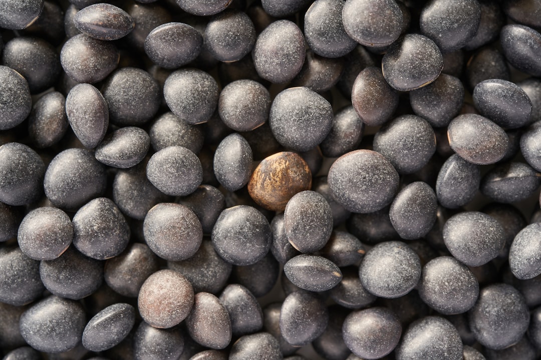 Black polygonum seeds, top view, high resolution photography, high detail, stock photo, in the style of Canon R5C –ar 128:85