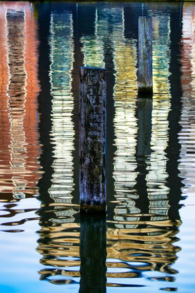 A vertical photograph of wooden posts in the water, reflecting colorful buildings along one side of an urban canal, creating symmetrical patterns and reflections on calm waters. The warm sunlight highlights intricate details like weathered wood textures and vibrant hues, adding depth to the scene. --ar 85:128