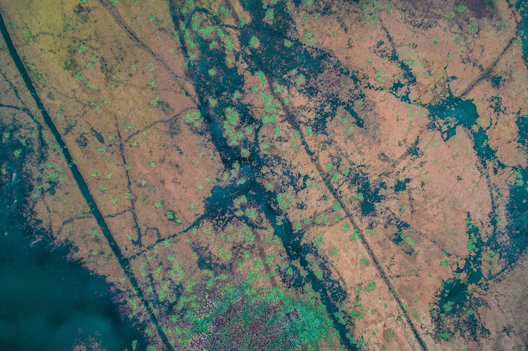 Aerial view of wetland with green and brown colors, swamp in autumn season, top down view, abstract photography, industrial landscape, wetlandcore –ar 128:85