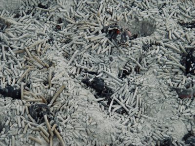 Aerial view of the surface covered with gray ash and hundreds of white cigarette debris, like thousands of long bamboo sticks scattered around. The ground is flat, dusty, covered in black soot from burning candles. The scene has an eerie atmosphere, reminiscent of documentary photography. It's a very detailed photo captured in the style of professional photographers using high-quality cameras, captured on film with very good resolution and color contrast. --ar 4:3