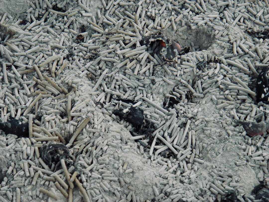 Aerial view of the surface covered with gray ash and hundreds of white cigarette debris, like thousands of long bamboo sticks scattered around. The ground is flat, dusty, covered in black soot from burning candles. The scene has an eerie atmosphere, reminiscent of documentary photography. It’s a very detailed photo captured in the style of professional photographers using high-quality cameras, captured on film with very good resolution and color contrast. –ar 4:3