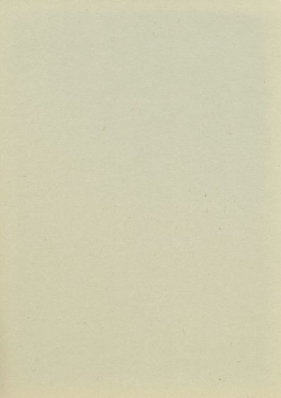 A flat, empty beige page of paper with no text or images, perfect for adding your own content. The background is uniform in color and texture, providing an uncluttered space to add writing or illustrations. This design should convey simplicity and clarity at the same time, making it suitable as a blank canvas on which you can place ideas or data that need minimal decoration. --ar 45:64