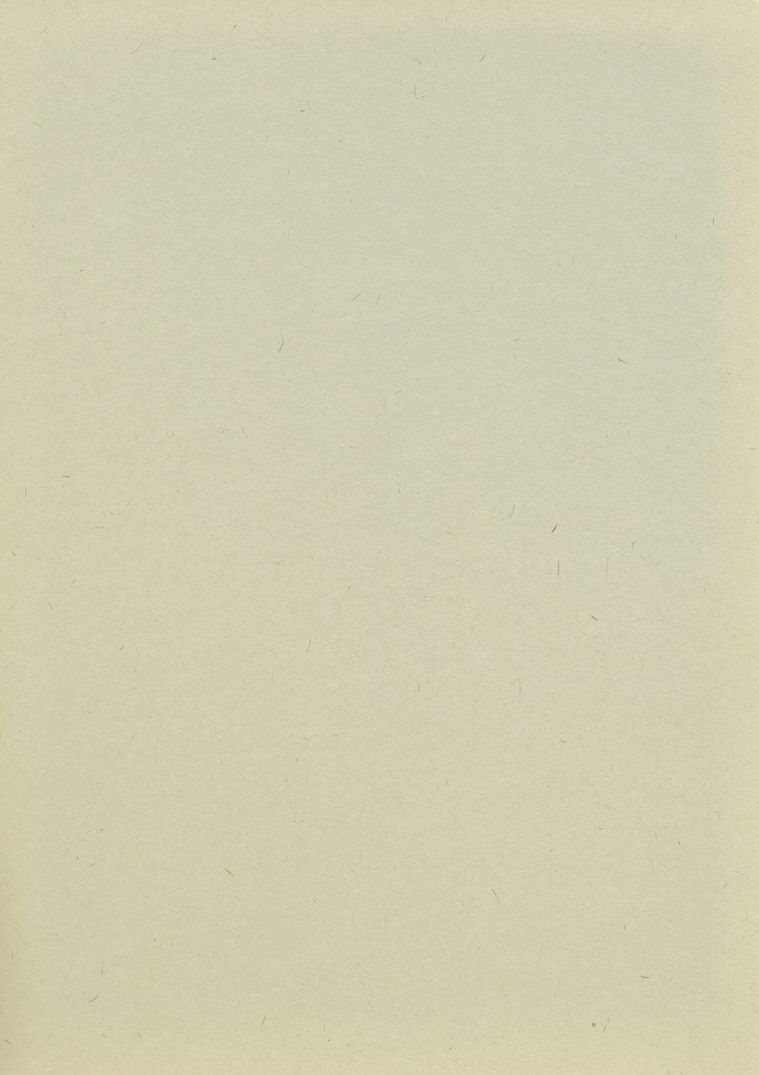 A flat, empty beige page of paper with no text or images, perfect for adding your own content. The background is uniform in color and texture, providing an uncluttered space to add writing or illustrations. This design should convey simplicity and clarity at the same time, making it suitable as a blank canvas on which you can place ideas or data that need minimal decoration. –ar 45:64