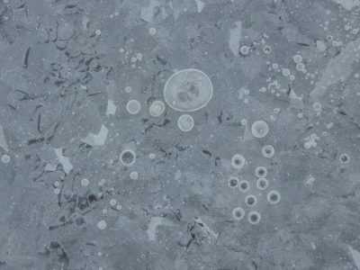 flat gray ice with small round white spots and circle shapes, low resolution, nikon d700