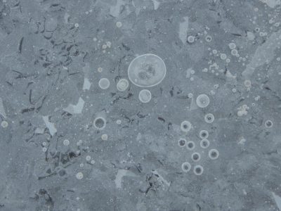 flat gray ice with white circular spots, large and small. In the center of each spot is an isolated tiny circle of transparent gelatinous plastic-like material, the circles arranged on top of one another like scales or scale particles. Some pieces of debris. Perspective from above. Raw photo taken in the style of Canon EOS R5. --ar 4:3