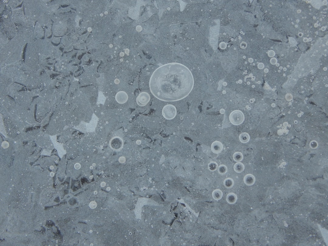 flat gray ice with white circular spots, large and small. In the center of each spot is an isolated tiny circle of transparent gelatinous plastic-like material, the circles arranged on top of one another like scales or scale particles. Some pieces of debris. Perspective from above. Raw photo taken in the style of Canon EOS R5. –ar 4:3