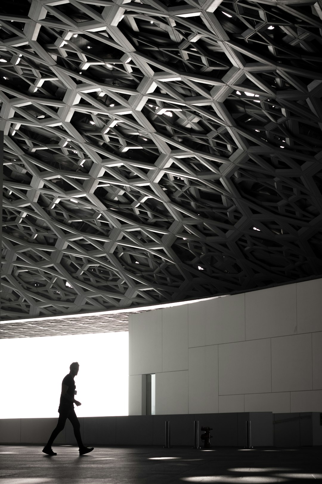 Abu Dhabi Victoria Street, modern museum interior made of a black and white parametric grid structure. The building is completely covered with a thin steel mesh that creates geometric patterns in the form of hexagons on all walls and ceiling. A person walking through the room, in the style of Rory Gardiner, with natural light, in a cinematic style. –ar 85:128