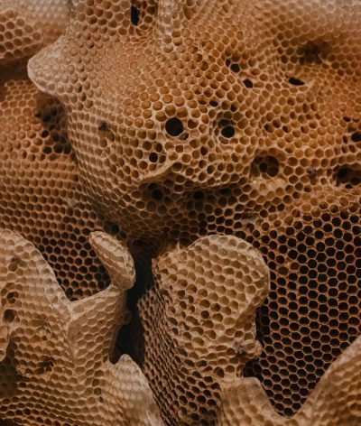 A closeup of the intricate patterns in honeycomb, showcasing the delicate work in the style of bees to create their home and symbolizing community. With full depth of field in focus, Kodak portra 800 film grain adds an ultra realistic and hyper detailed style. --ar 27:32