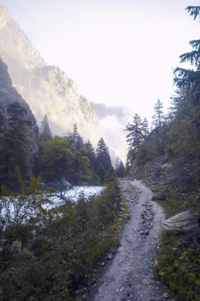 A narrow trail leads up to the foot of an alpine mountain, with trees and a river on both sides. Early morning mist is in the background in a cinematic, photo realistic style in the style of Leica M6. --ar 85:128