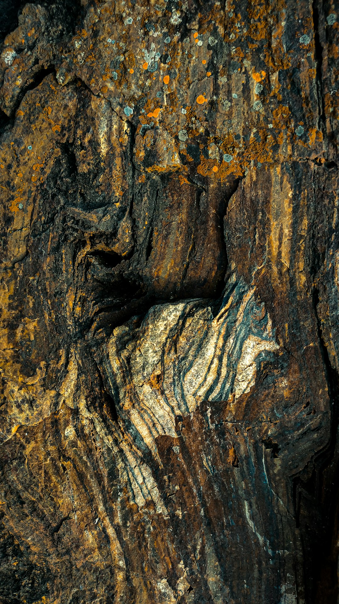 macro photography of wood, showing intricate details, in the style of macro stock photo, with dark and gold tones, displaying detailed texture, appearing dirty and worn, resembling an ancient cave wall –ar 9:16