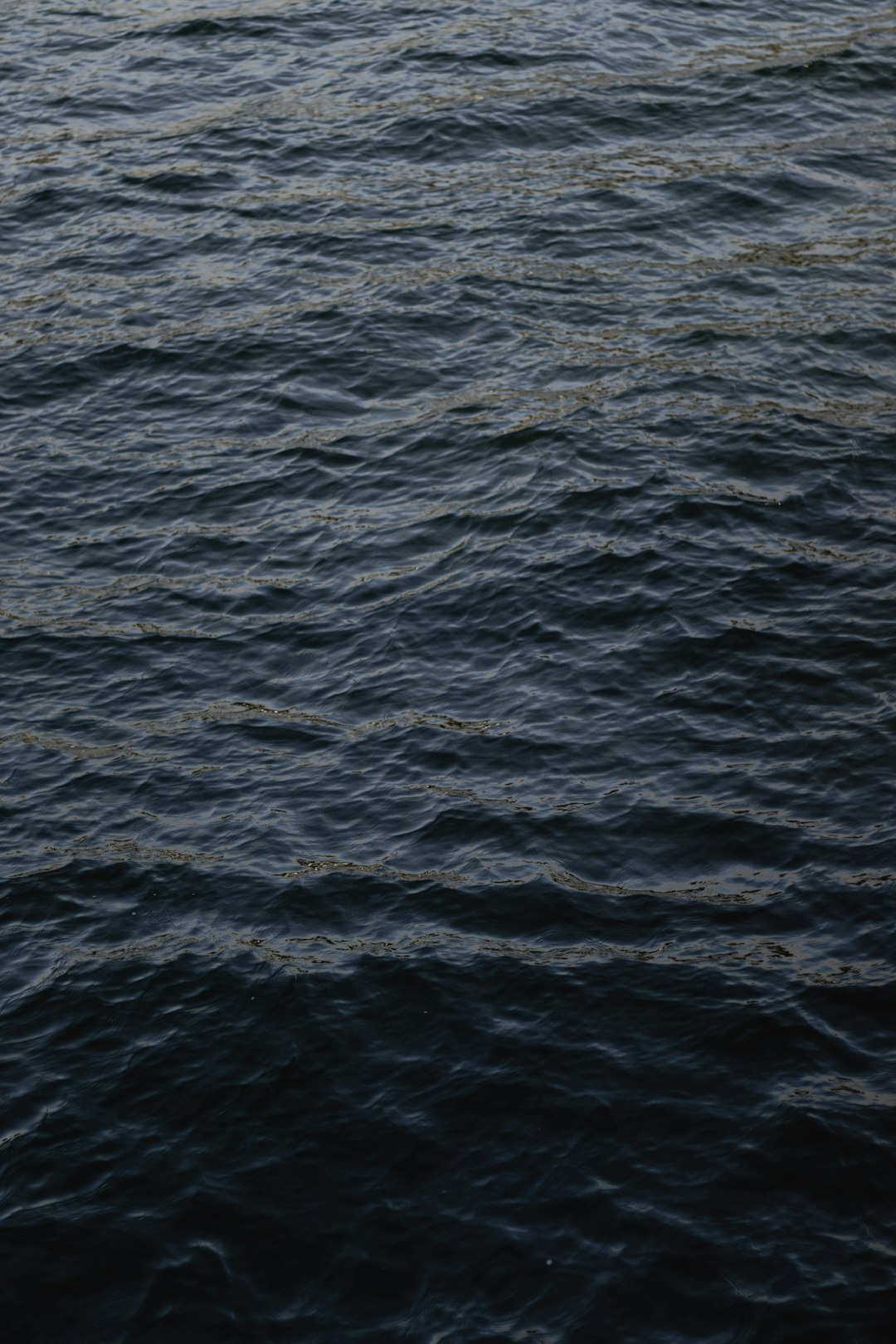 A dark gray sea with slight ripples on the water surface and no visible land in sight, presented in a clean and simple top view style reminiscent of hyperrealistic photography at a high resolution. –ar 85:128