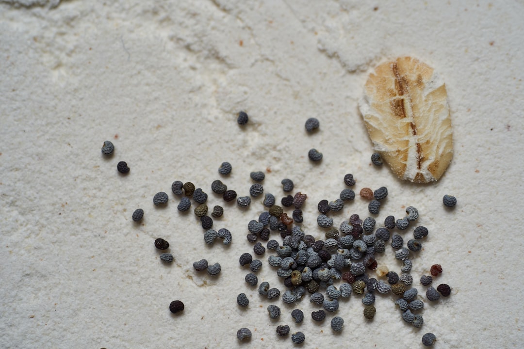 A photo of small seeds scattered on the white sand, with one seed showing its black rind and others displaying their dark grey color. The background is a light gray textured surface, in the style of a light gray textured surface. –ar 128:85