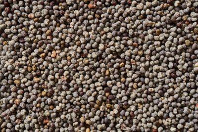 Photo of a highly ranked "Chia seed" texture, with small black and white seeds. The background is a dense pattern of the same grayish brown color as the Chia seeds. --ar 128:85