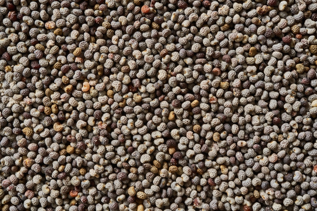 Photo of a highly ranked “Chia seed” texture, with small black and white seeds. The background is a dense pattern of the same grayish brown color as the Chia seeds. –ar 128:85