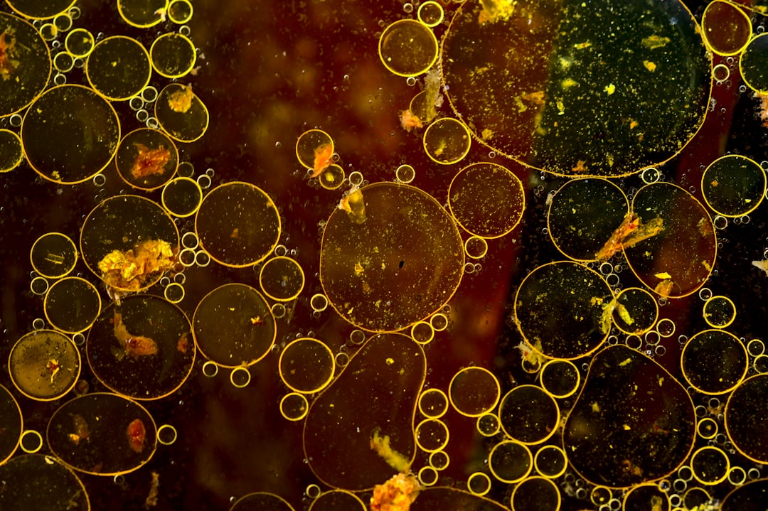 a close up of round bubbles floating in oil and liquid, yellow orange red green, detailed background of organic textures, dark brown, by” Marsel van Ouento”, detailed organic background, circular pattern, high resolution –ar 128:85