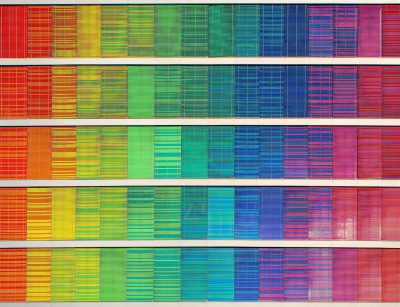 A series of vertical, horizontal rainbow color swatches displayed on shelves. The colors include bright and vibrant hues like reds, yellows, greens, blues, purples, pinks, oranges, and white, arranged in sequence from light to dark. Each strip is filled with the different shades, creating an eyecatching display that captures attention and emphasizes diversity and creativity. This scene adds vibrancy and excitement to any space, making it perfect for artistic or design purposes. --ar 64:49