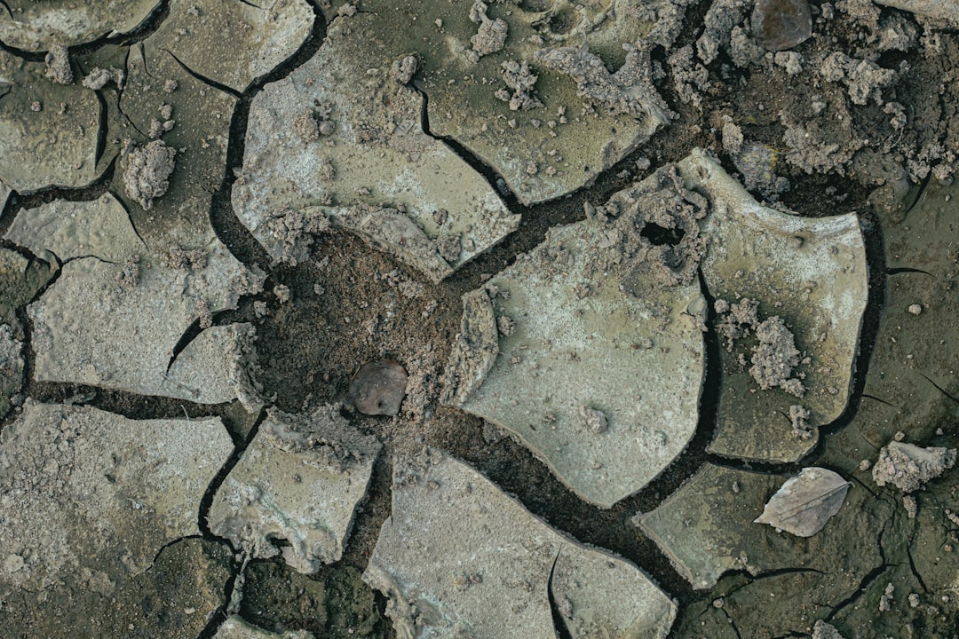 a top down view of cracked earth with the shape of spider in it, postapocalyptic, muted colors, photography –ar 128:85