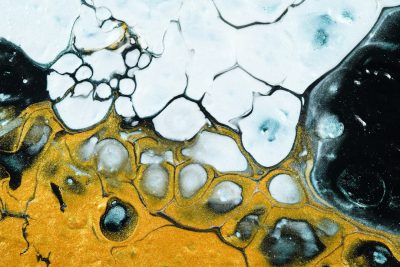 A close up of an abstract painting with yellow and black paint, white snow on the ground, organic shapes, fluid art in the style of black ink on an alcohol ink background, closeup of ice crystals, white and gold colors, intricate details --ar 128:85