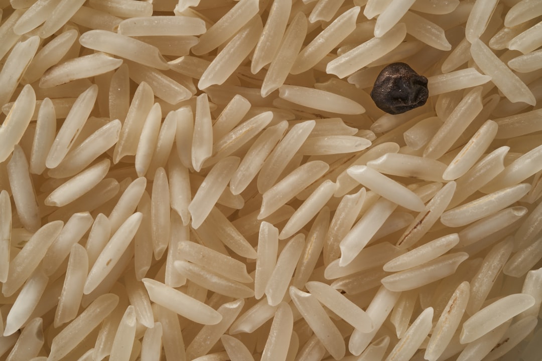Closeup of long grain rice, with one single black pepper seed visible in the middle. The texture is detailed and realistic, showcasing each tiny grain of brownish white color. This shot captures an overhead view of the grains from above, emphasizing their natural shape and size against a neutral background. The focus on individual rice pieces adds depth to the composition, creating visual interest and highlighting its pure form as they stand out amidst other white or yellow rice. This image is in the style of realistic texture photography, showcasing each tiny grain. –ar 128:85
