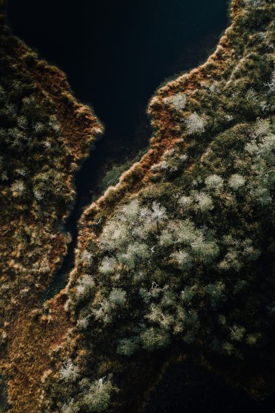 Aerial photography shows the top view of a lake shore with an ancient forest on one side and grassland covered in mosses on the other side. The dark green water surface is seen from a top-down angle with an ultrawide lens, giving it a cinematic texture with warm tones and soft, calm light. --ar 85:128