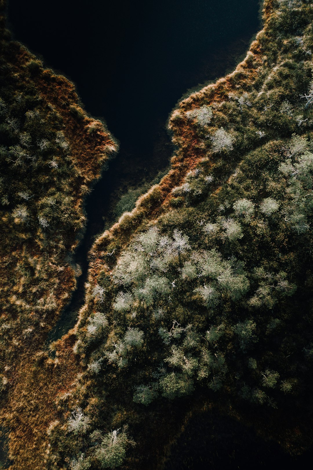 Aerial photography shows the top view of a lake shore with an ancient forest on one side and grassland covered in mosses on the other side. The dark green water surface is seen from a top-down angle with an ultrawide lens, giving it a cinematic texture with warm tones and soft, calm light. –ar 85:128