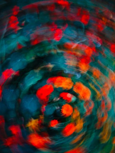 abstract blurred photograph of an exploding flower in the style of [Egon Schiele](https://goo.gl/search?artist%20Egon%20Schiele), dark green and red, vivid colors, circular motion --ar 3:4