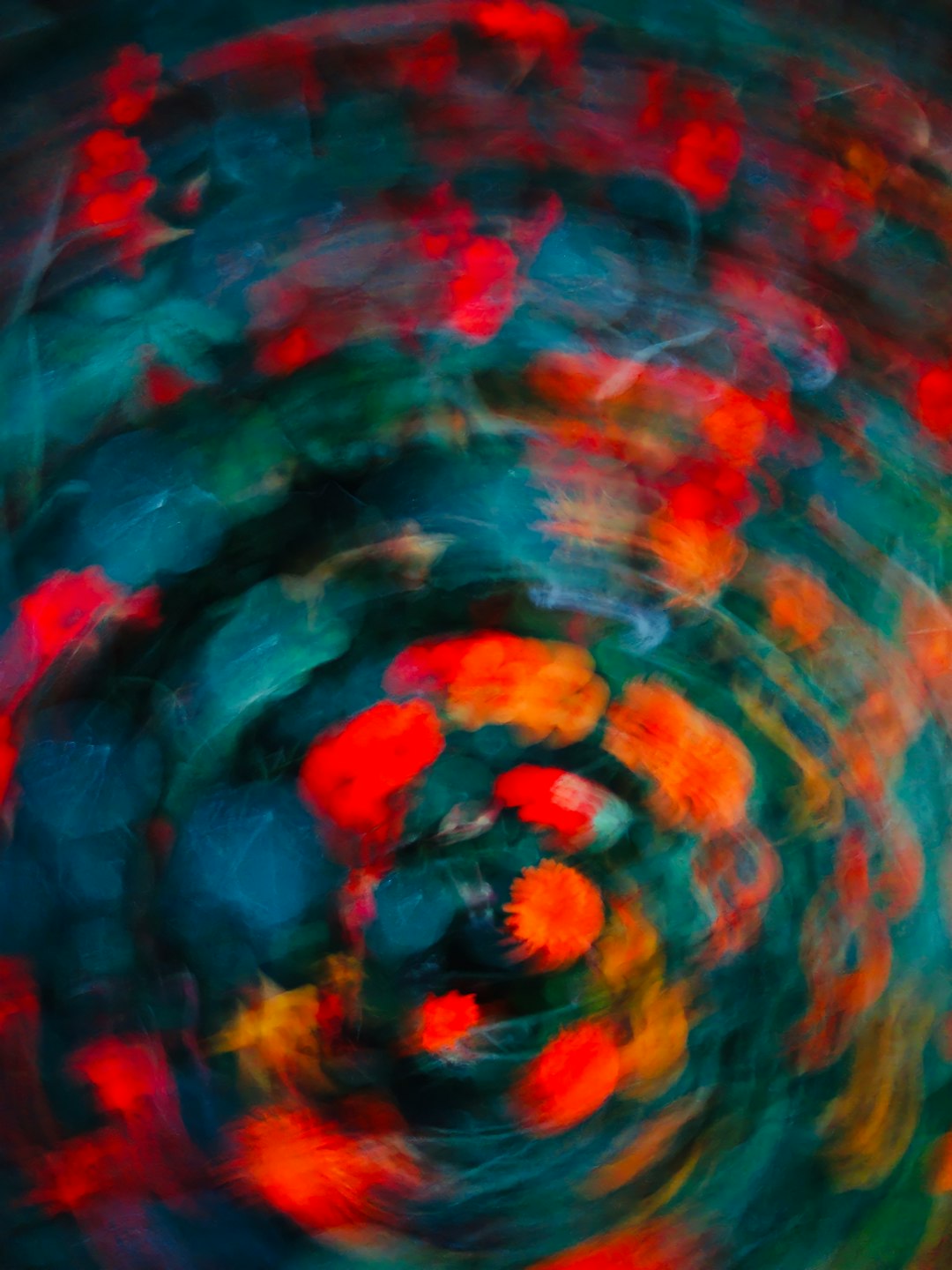 abstract blurred photograph of an exploding flower in the style of [Egon Schiele](https://goo.gl/search?artist%20Egon%20Schiele), dark green and red, vivid colors, circular motion –ar 3:4