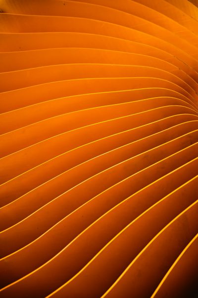 Closeup of the curved surface, the orange paper strips form an undulating line with an irregular pattern, creating visual effects that enhance creativity and design sense. The light is projected onto it through small holes on top to create a warm golden glow, adding depth and texture to its appearance. It creates an atmosphere full of vitality in the style of high-definition photography. --ar 85:128