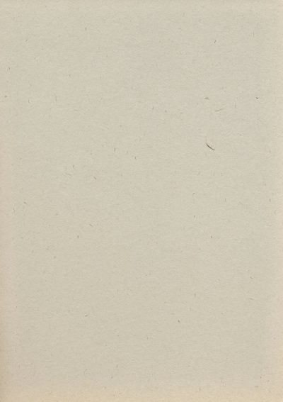 A blank page of cream-colored paper, with no text or images visible on it. The background is plain and neutral in color, providing an empty canvas for creative expression or writing. There is a subtle texture to the cardboard surface that adds depth and character to its appearance. This image could be used as a base for adding various designs or illustrations onto the white space in the style of various artists. --ar 45:64