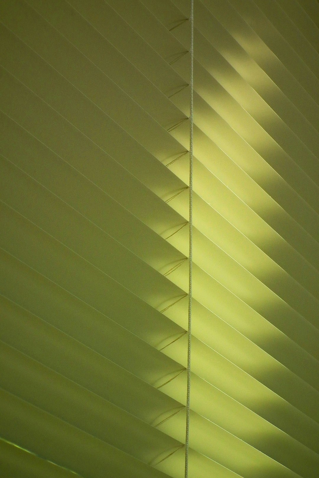 photo of light green blinds, low angle shot, soft shadow, detail, macro photography –ar 85:128