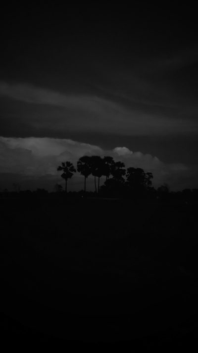 Dark landscape, with tree silhouettes in the distance against a black sky with clouds. The style is minimalistic and monochrome with a cinematic and dark atmosphere. It has a hyper realistic and detailed style, like photography. It was an award winning photoshoot, captured on a Sony Alpha A7 III camera using a lens and flash. --ar 9:16