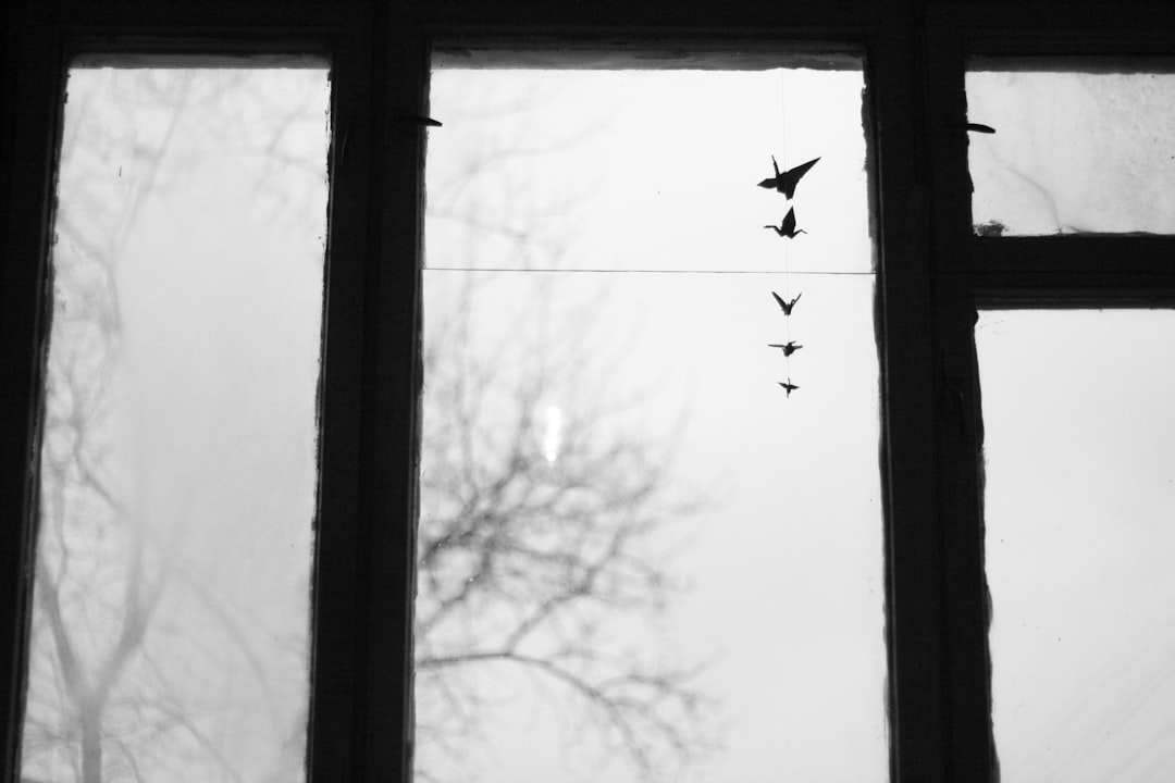 A black and white photograph of birds flying outside the window, seen from inside an old house in Sejny on Poland. The window is framed with dark wood and has two panes of glass. There’s no furniture or decorations visible behind it, just the light grey wall and a tree without leaves outside. This scene creates a sense of solitude and contemplation as one looks out at nature through the closed windows. The monochrome palette adds depth to the atmosphere. –ar 128:85