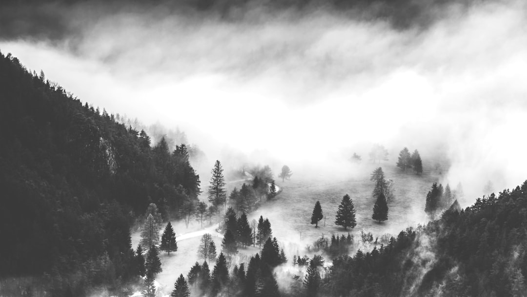 Black and white landscape photography of a misty pine forest on the hills near a lake, in the style of federallyofrome, with foggy mountains, dense trees, clouds, from a drone perspective, using a Hasselblad X2D with a 90mm lens. –ar 16:9