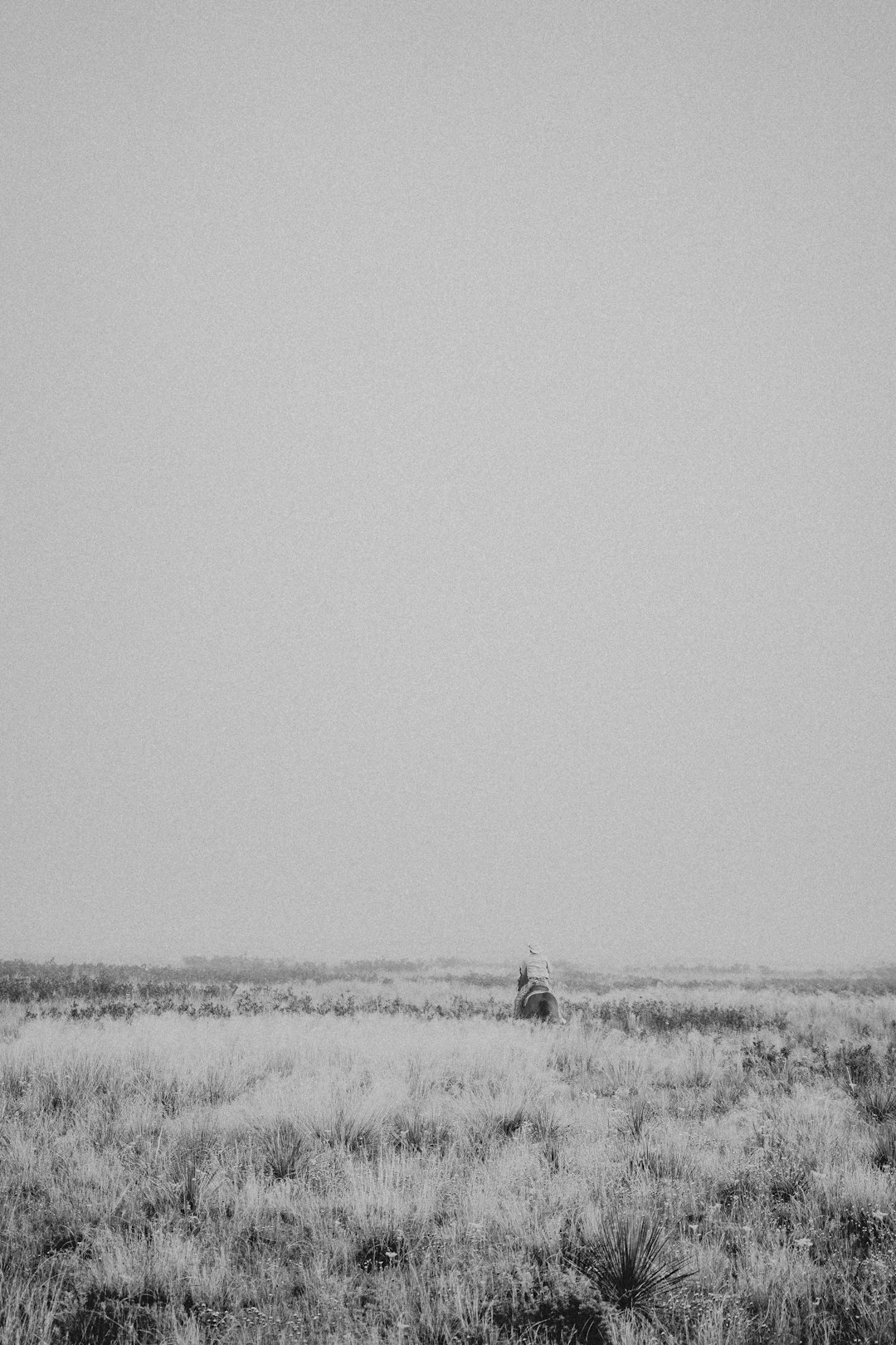 wide shot of an open field, in the distance there is one small deer laying down on its side, monochrome, vintage photography, 35mm film grain, lofi style, minimalist, low angle perspective, symmetrical, in the style of Kodak Portra400 –ar 85:128