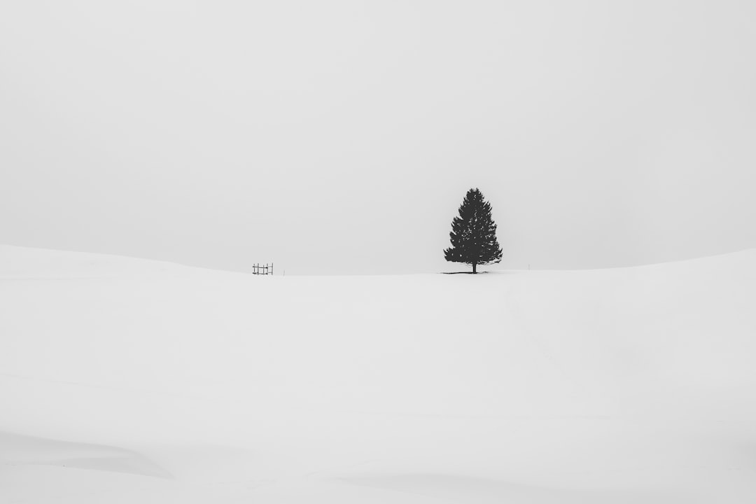 Minimalist black and white photography of a snowcovered landscape, featuring a lone pine tree in the distance. The composition focuses on simplicity with clean lines and negative space. Monochromatic tones create an atmosphere of solitude and calmness. High resolution photograph in the style of a minimalist landscape. –ar 128:85