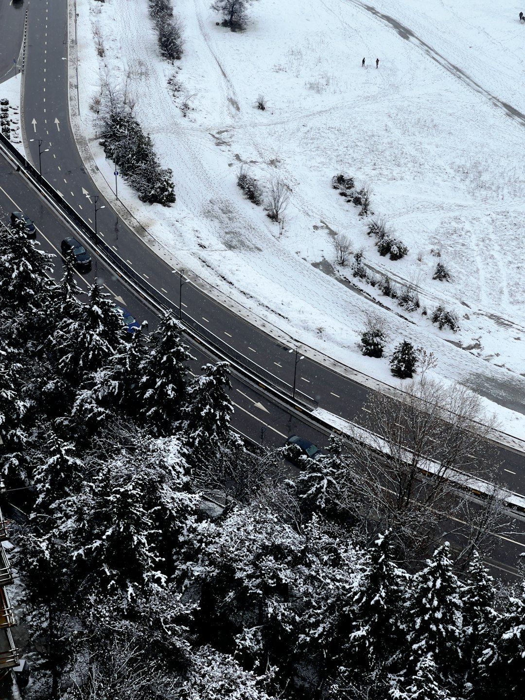 snowy landscape, road and trees, bird’s eye view, highway in the distance, asphalt, cars on it, winter day, daylight, photo taken with Sony Alpha A7 III camera without lens, –ar 3:4