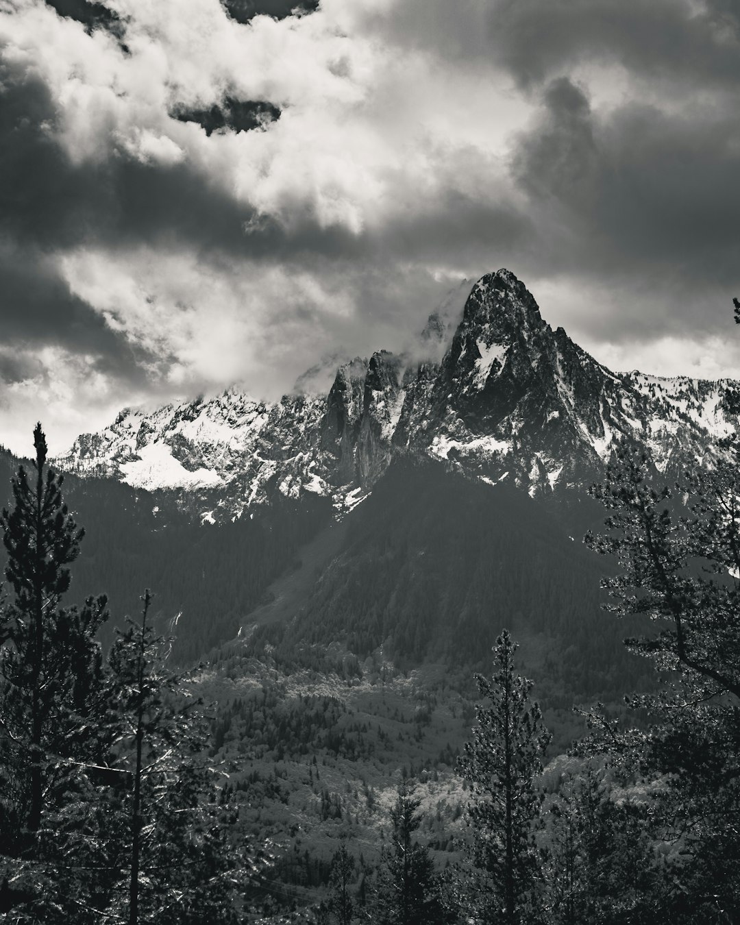 A black and white photo of the mountain peak in the French Alps, with trees and clouds in the background. The scene is captured from an elevated perspective, showcasing majestic peaks against a dramatic sky. In the foreground, there is some foliage that adds depth to the composition. This photograph captures the grandeur of nature, emphasizing both scale and mood through contrast between light and shadow in the style of [Ansel Adams](https://goo.gl/search?artist%20Ansel%20Adams). –ar 51:64