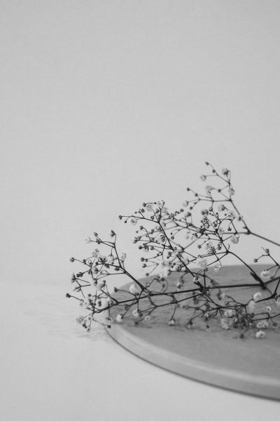 Black and white aesthetic Photography of gypsophila on ceramic plate, aesthetic vibe, minimalistic, beautiful composition --ar 85:128