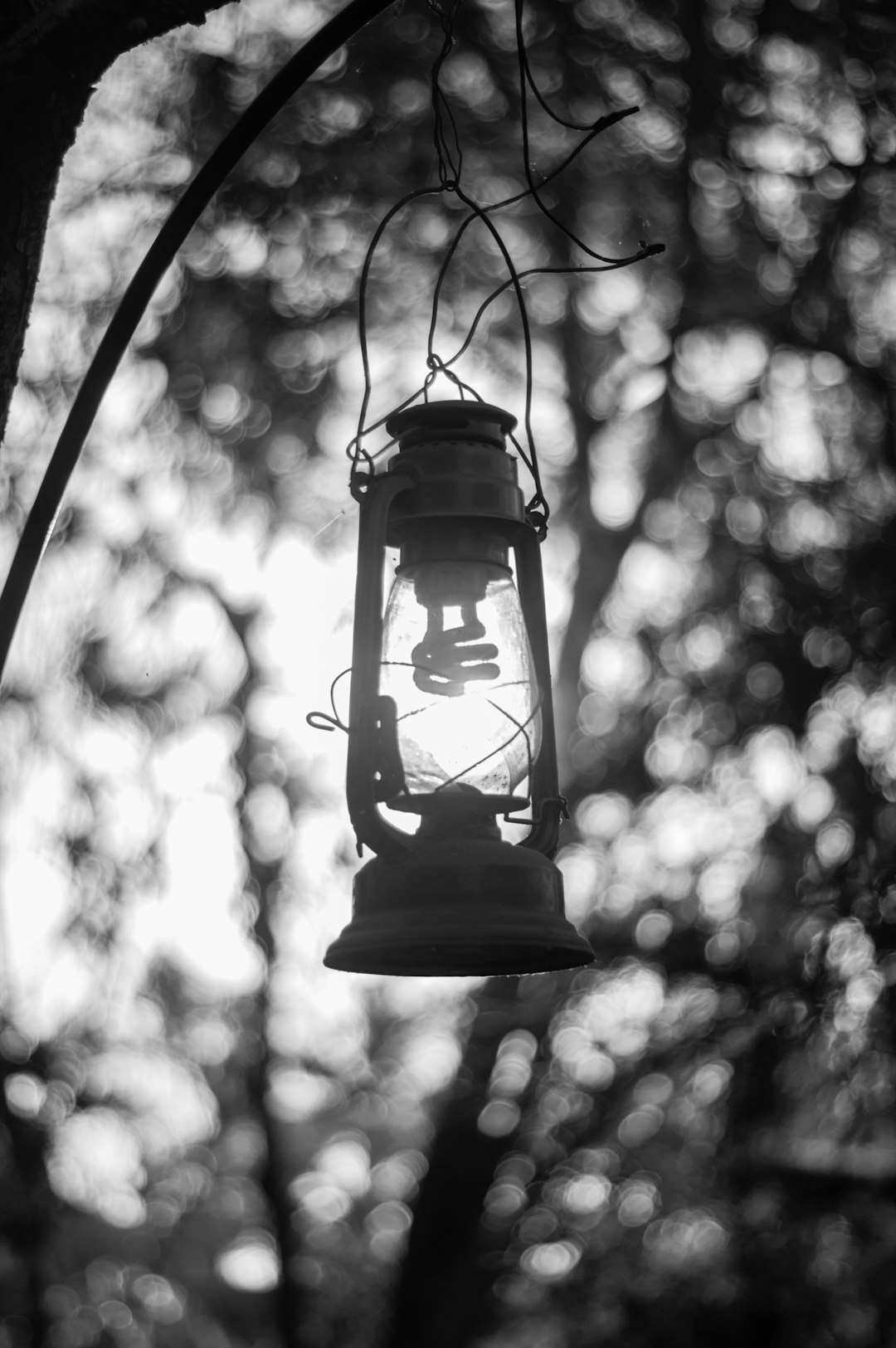 A black and white photograph of an old-fashioned lantern hanging from the top, with light glowing inside it against a blurred background of trees. The lamp is detailed in high resolution. This photo was taken using a Canon EOS 5D Mark IV camera with an EF lens in the style of no particular artist. –ar 85:128